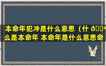 本命年犯冲是什么意思（什 🐺 么是本命年 本命年是什么意思命）